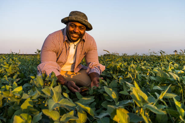 istock Farmer in the field 1334408620