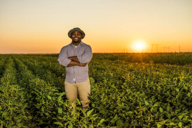 istock Farmer in the field 1334408730