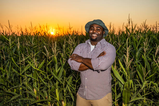 istock Farmer in the field 1334408912