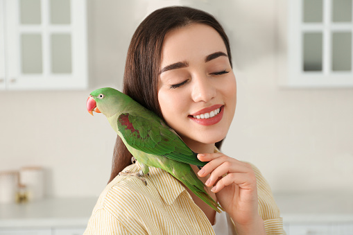 Young woman with Alexandrine parakeet indoors. Cute pet