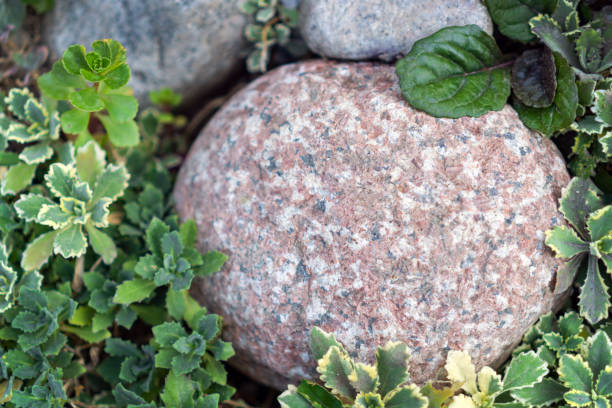 istock Round brown large stone on a background of greenery. Mockup. 1334413126
