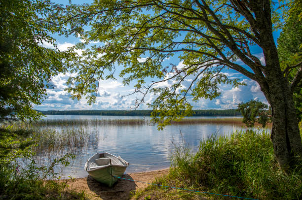 istock Lake landscape in Finland 1334416707