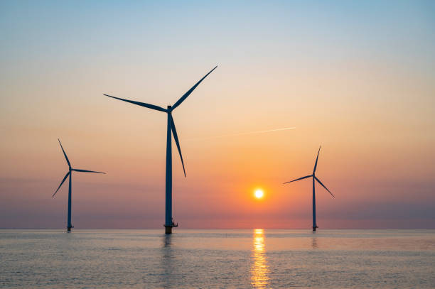 istock Wind turbines in an offshore wind park producing electricity during sunset. 1334416870