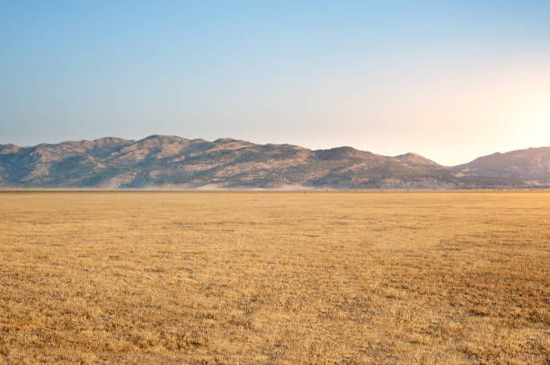 grasslands of dasht arjan. wide panorama with autumn grass field and mountains in background at evening time, typical autumnal scenery of fars province, iran - horizon over land mountain hill horizon imagens e fotografias de stock