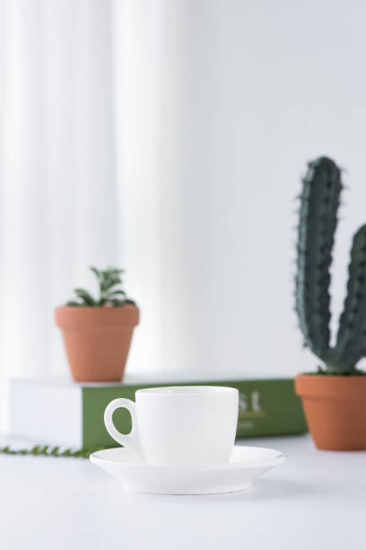 istock Cactus in flowerpot isolated on white background. 1334420071