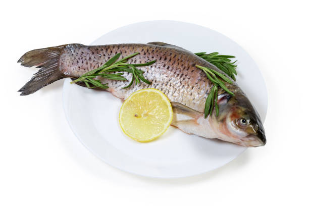 istock Raw grass carp prepared for cooking, rosemary, lemon on dish 1334422114