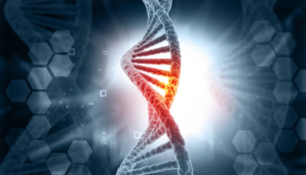 istock DNA strand on scientific background 1334424990
