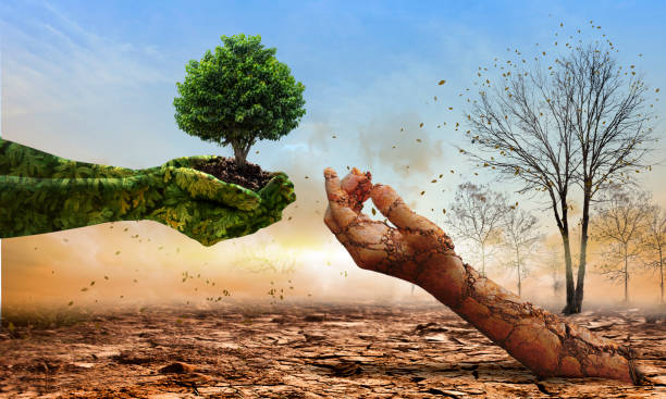 istock Green hands holding tree growing and dry soil hand on crack earth. Saving environment and natural conservation concept. 1334430335