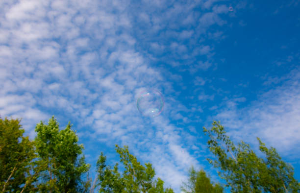 In the august sky