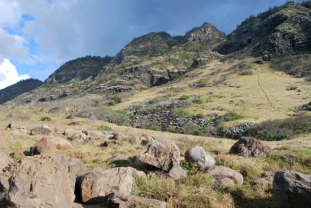 istock Kaena Point State Park  in  Oahu 133443290