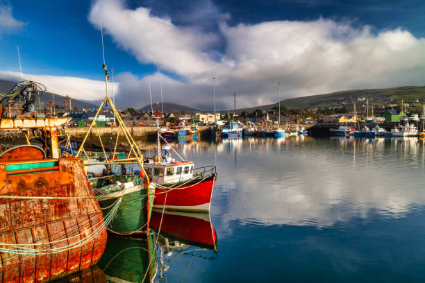 paisaje del puerto marítimo de dingle en el condado de kerry - condado de kerry fotografías e imágenes de stock