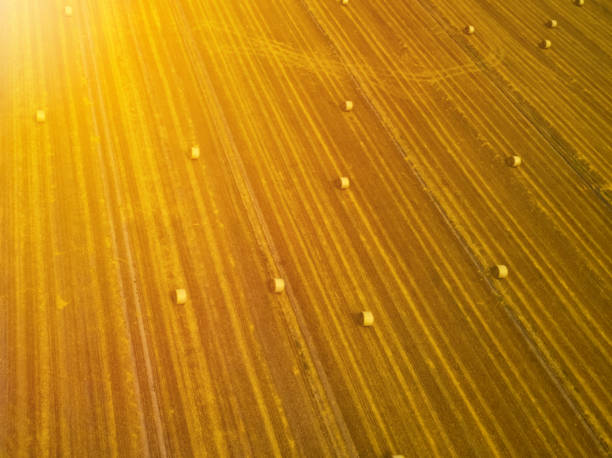 Aerial view from high altitude of a stubble field with round bales of straw on the field shone by the sun Aerial view from high altitude of a stubble field with round bales of straw on the field shone by the sun hay baler stock pictures, royalty-free photos & images