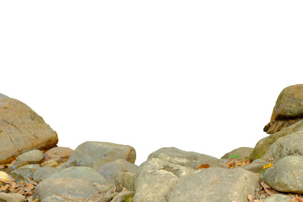 istock Rock or cobblestone foreground garden 1334435885
