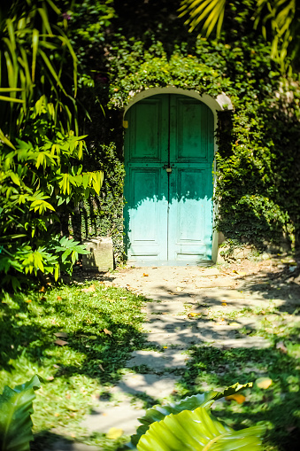 Secret Door To The Magic Garden. Old blue wooden door overgrown with ivy