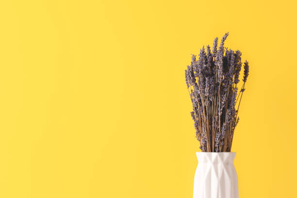 istock Bouquer of dry lavender flowers in white vase. 1334436850
