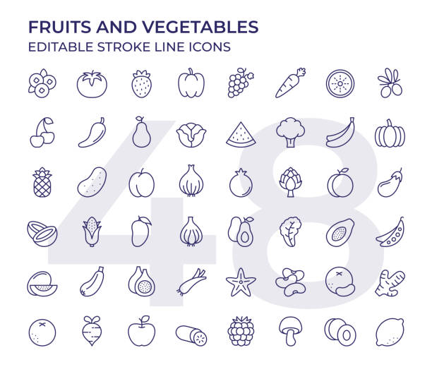 illustrations, cliparts, dessins animés et icônes de icônes de ligne fruits et légumes - vegetable