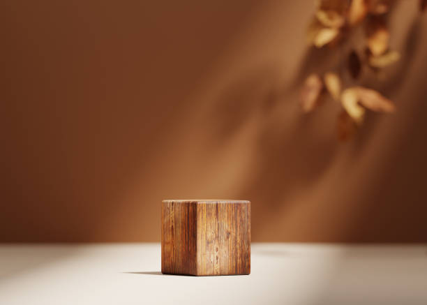 sfondo 3d, podio piedistallo in legno su sfondo beige naturale asciutto foglia autunnale ombra. promozione del prodotto autunnale cosmetici di bellezza esposizione in legno. nude studio minimal mostra pubblicità di rendering 3d. - wood product foto e immagini stock