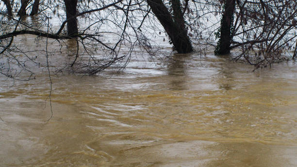 istock Midouze in flood, after the heavy rains 1334443392