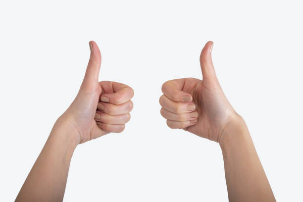istock Female hands super on a white background. Isolation. 1334443460