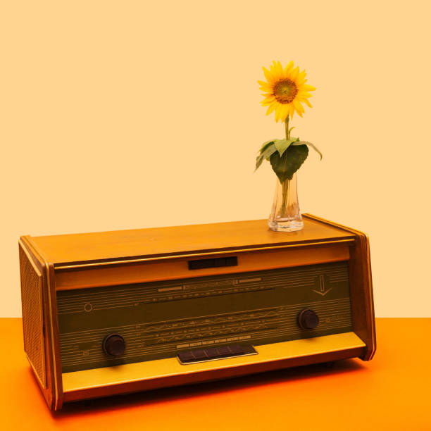 una radio antigua con girasol encantador en simple jarrón de vidrio transparente en él. arreglo retro mínimo contra fondo beige y terracota. - radio old fashioned antique yellow fotografías e imágenes de stock