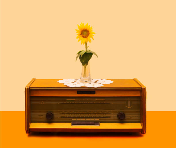 una radio antigua con girasol encantador en el medio en jarrón de vidrio transparente en él. arreglo retro mínimo contra fondo beige y terracota. - radio old fashioned antique yellow fotografías e imágenes de stock