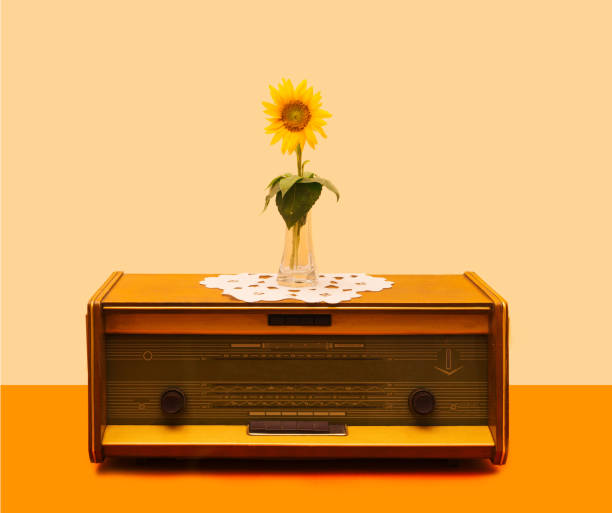 an antique radio with lovely sunflower in the middle in transparent glass vase on it. minimal retro arrangement against beige and terracotta background. - radio old fashioned antique yellow imagens e fotografias de stock