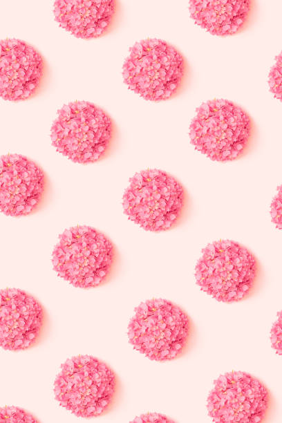 istock A pattern created of bright hortensia on light pink background. Top view. 1334443841