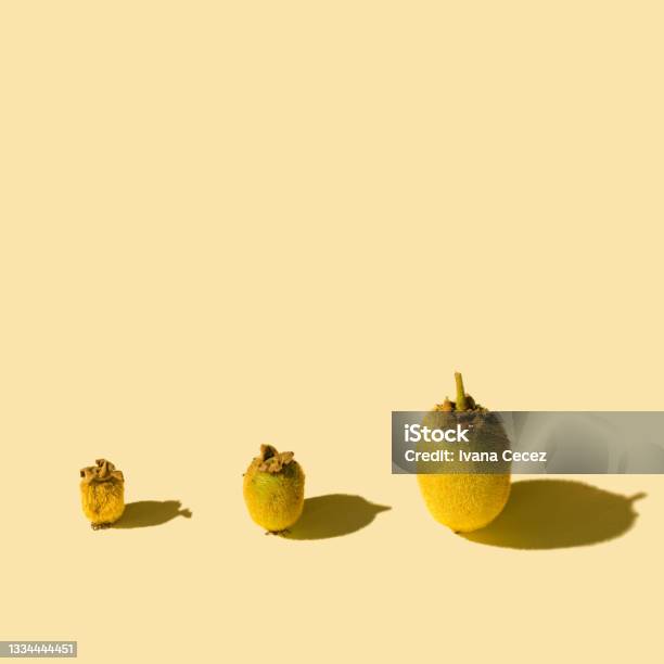 Three Whole Kiwi Fruits In Different Development Phases Concept For Maturing Of Fruits Beige Background With Sunny Shadows Stock Photo - Download Image Now