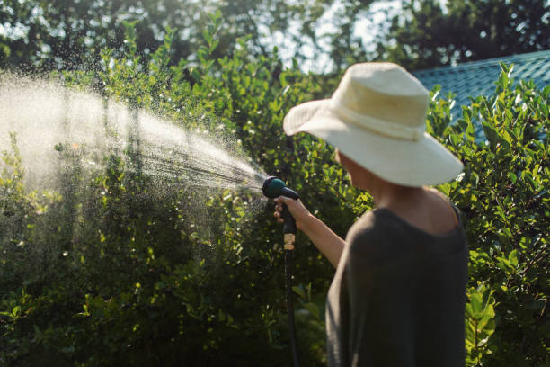 istock Taking care of plant at summer 1334446935