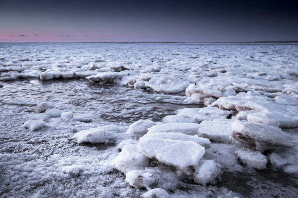 blocos de gelo no mar de wadden ao anoitecer - wadden wadden sea unesco world heritage site sea - fotografias e filmes do acervo