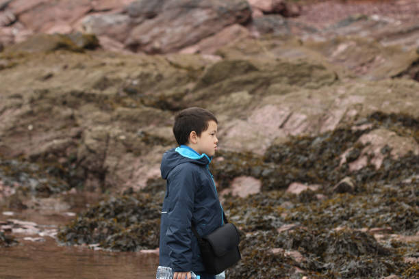 istock Boy exploring the coast starring out to sea 1334447243