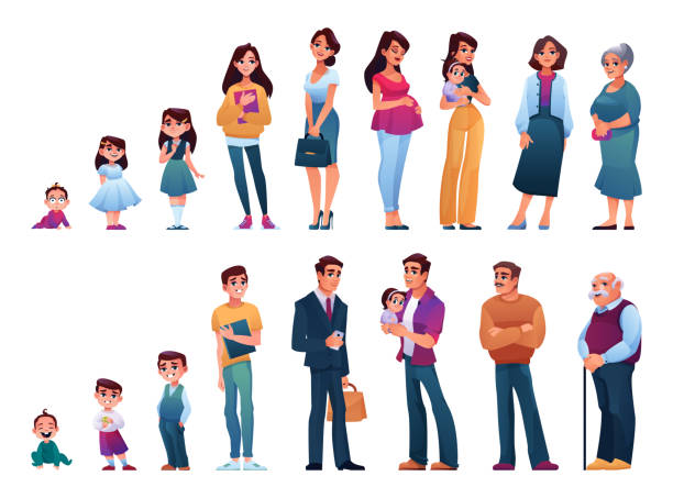Male and female human aging and growth. Newborn and toddler, preschool and pupil, student and teenager, adult and mature person, senior man and woman on pension. Flat style cartoon character, vector vector art illustration