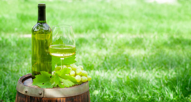 istock Wine bottle, glass and grape vine on old wine barrel 1334450763