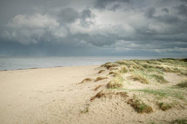 istock Sand dunes at the North Sea under storm clouds 1334452233