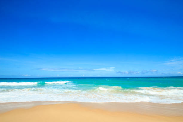 istock Beautiful tropical beach with blue sky abstract texture background. Copy space of summer vacation and holiday business travel concept. Vintage tone filter effect color style. 1334456044