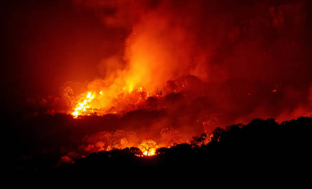 Wildfire At Night A fynbos wildfire burning through the night in the Western Cape, South Africa fynbos photos stock pictures, royalty-free photos & images