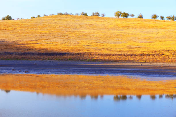 Arid climate scenery . Dry grass on the hill in the summer . Nature reflection in the pond water