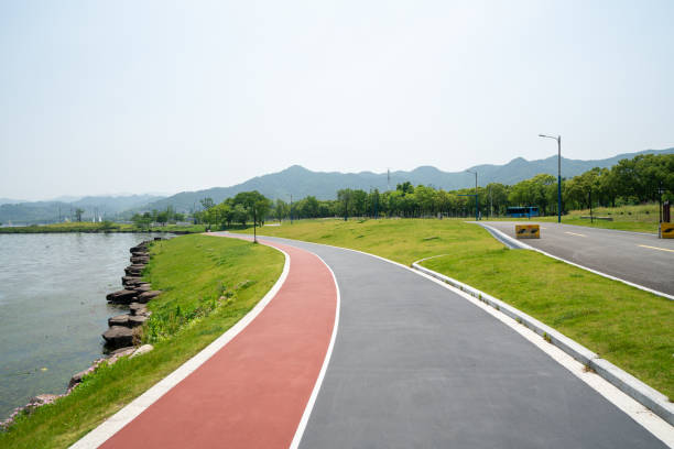 istock The lush trees and highways outdoors 1334457371