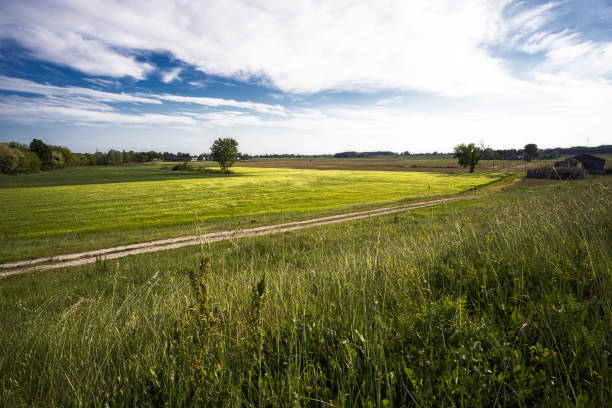 istock Panorama from the path along the river Po 1334460071