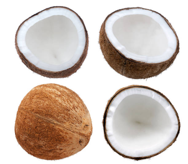 istock Coconut palm fruits isolated on white background 1334464506
