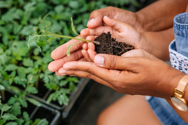 istock Growing plant in a woman's and her daughter's hands 1334466730