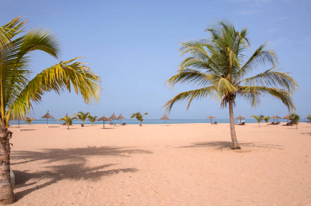 Palm trees and Saly beach in Senegal Landscape with palm trees on Saly beach on the Senegal coast senegal beach stock pictures, royalty-free photos & images