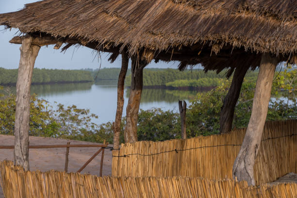 istock Cabin in the Sine-Saloum 1334467523