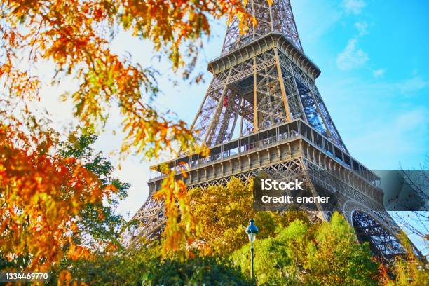 Scenic View Of The Eiffel Tower And Champ De Mars Park On A Fall Day Stock Photo - Download Image Now