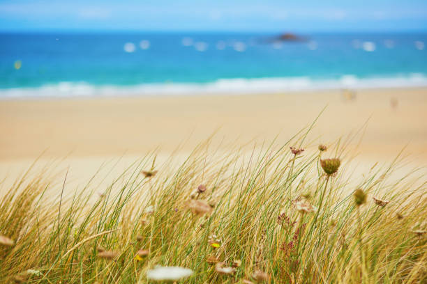 istock Atlantic ocean shore line in France 1334469934