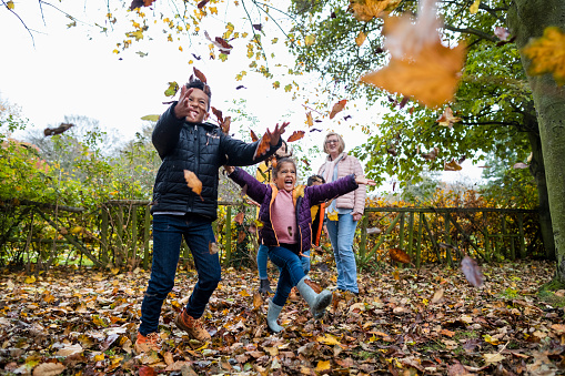 Front-view full-length shot of two brothers and a sister playing in the autumn leaves, they are standing together throwing the leaves up in the air, they are being mischievous and wearing warm winter clothing. Their mother and grandmother are watching behind them.