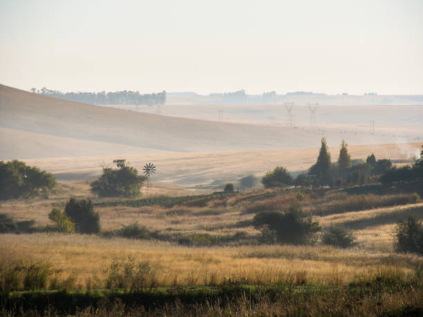 утренний вид на холмы южноафриканского хайвелда - dullstroom стоковые фото и изображения