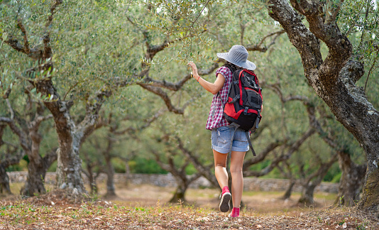 Mid adult woman with backpacker walking and enjoying to olive tree garden.