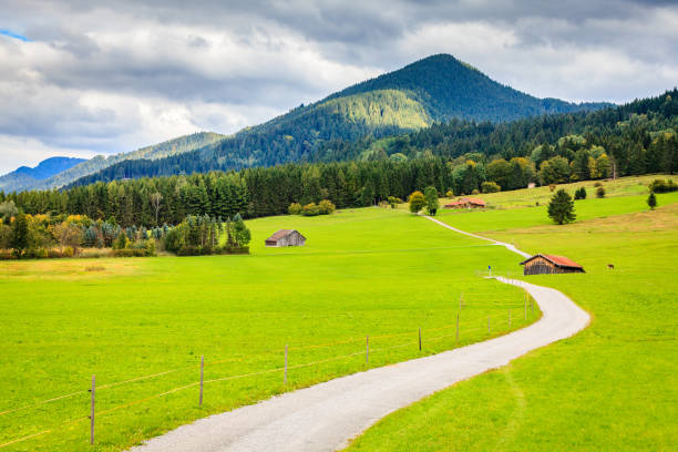 istock Road through Bavarian countryside 1334473802