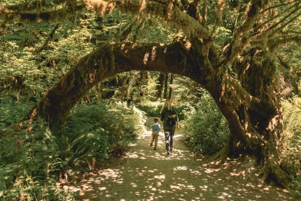 Mother and son hiking under natural archway in the Hoh Rainforest in Olympic National Park.